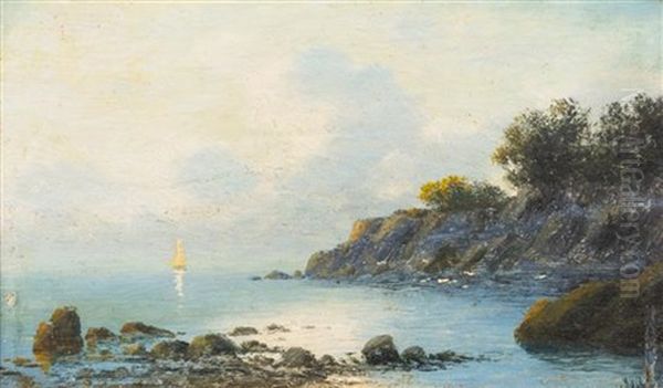 Shoreline - view 1
