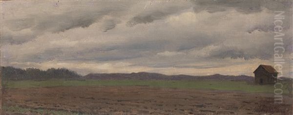 Landscape - view 1