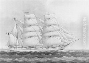 The Clipper 'aubepine' The Clipper 'aubepine'