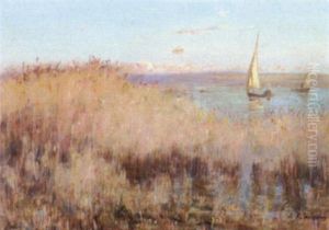 Sailboats Nearing A Marshland