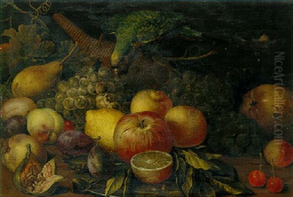 Fruchtstilleben Mit Einem Ara - view 1