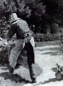 The Gardener
