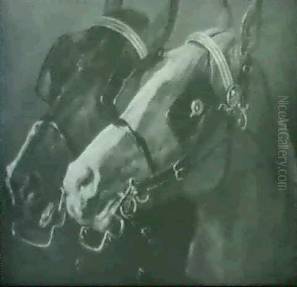 Etude De Chevaux - view 1