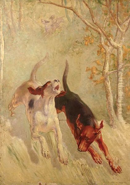 On The Hunt - view 1