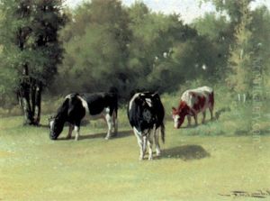Cows In Landscape Cows In Landscape