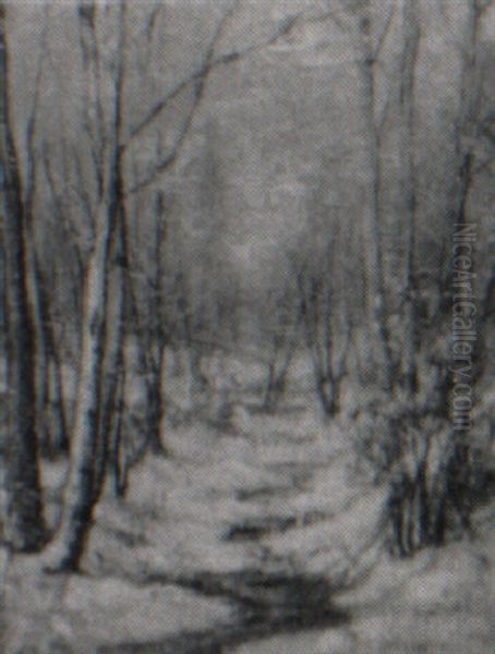 Winter Landscape - view 1