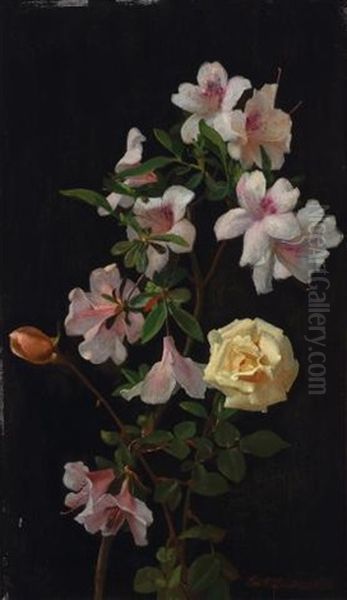 Spring Blossoms - view 1