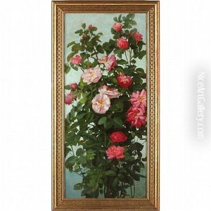 Pink Roses