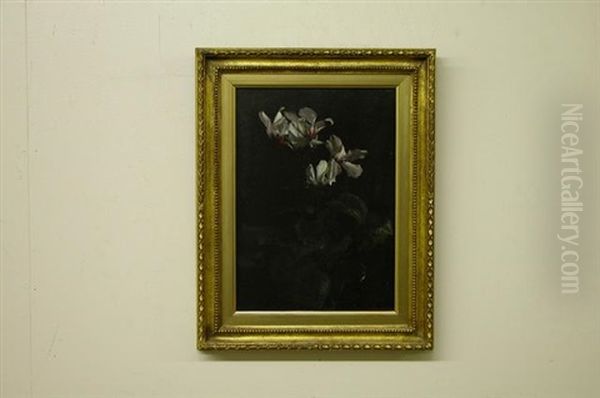Cyclamen Still Life - view 1