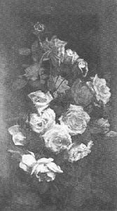 Still Life Of Roses by George Cochran Lambdin