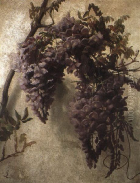 Wysteria - view 1