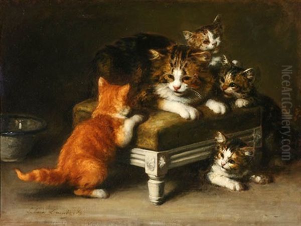 Kittens Playing - view 1