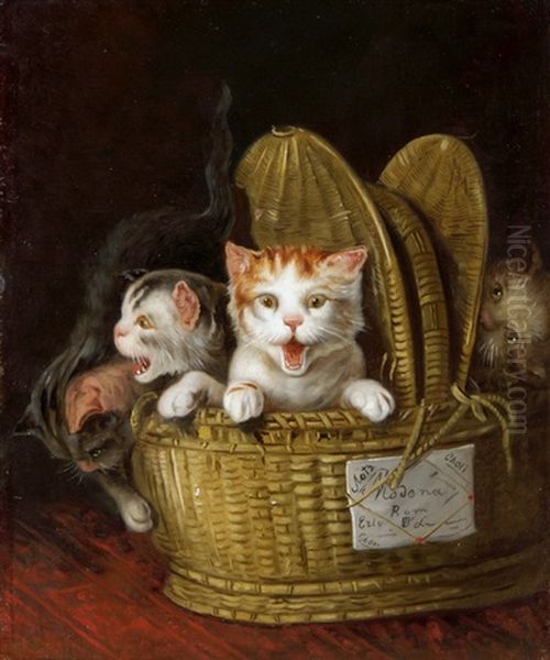 Korb Mit Drei Jungen Katzen - view 1