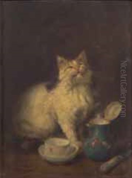 La Chatte Echaudee - view 1