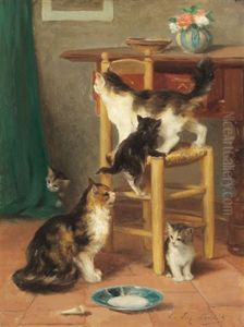 Katzenfamilie Katzenfamilie