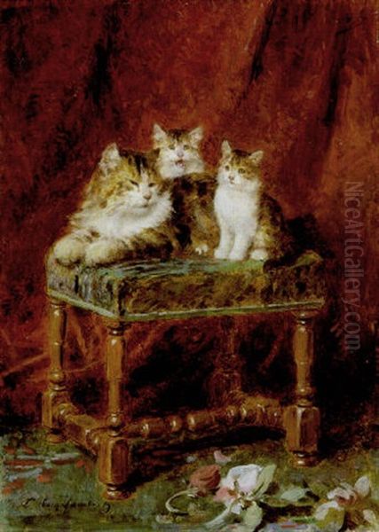 Chatte Et Ses Deux Chatons - view 1