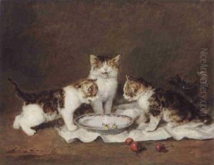 Le Repas Des Jeunes Chats Le Repas Des Jeunes Chats