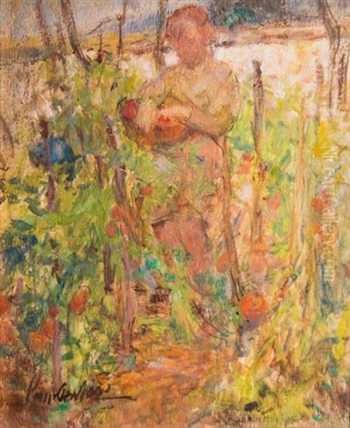 Femme Ramassant Des Tomates Dans Le Jardin - view 1