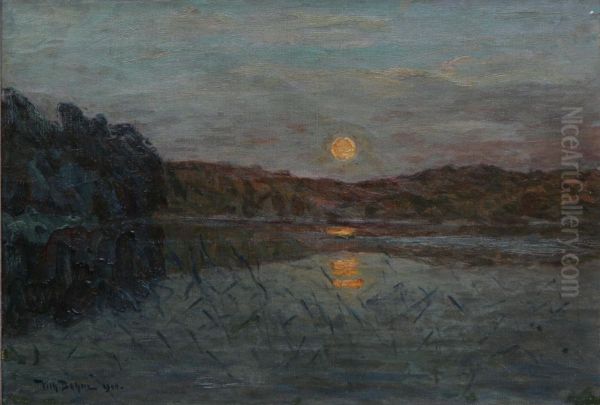Solnedgang - view 1