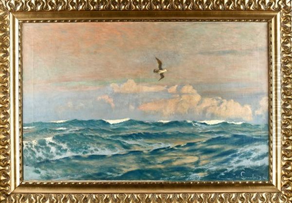 Uber Aufgewuhltem Meer Segelnde Mowe - view 1