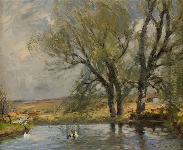 Ducks On A River Bank - view 1