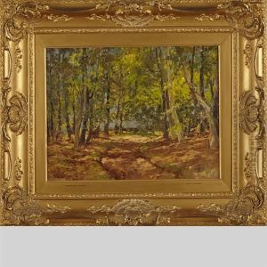 Woodland Scene Woodland Scene