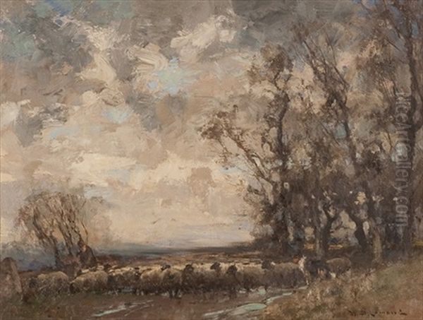 Moving The Flock - view 1