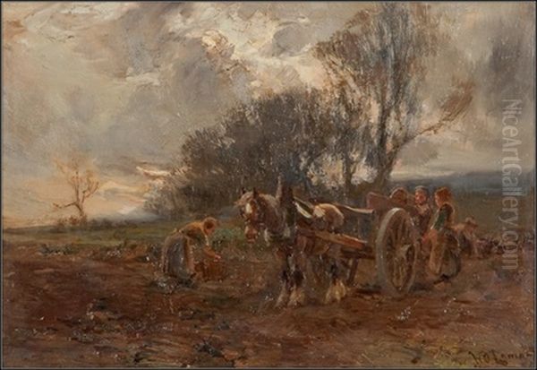 Evening At Longforgan - view 1