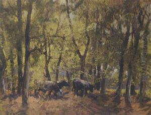 Shaded Grazing