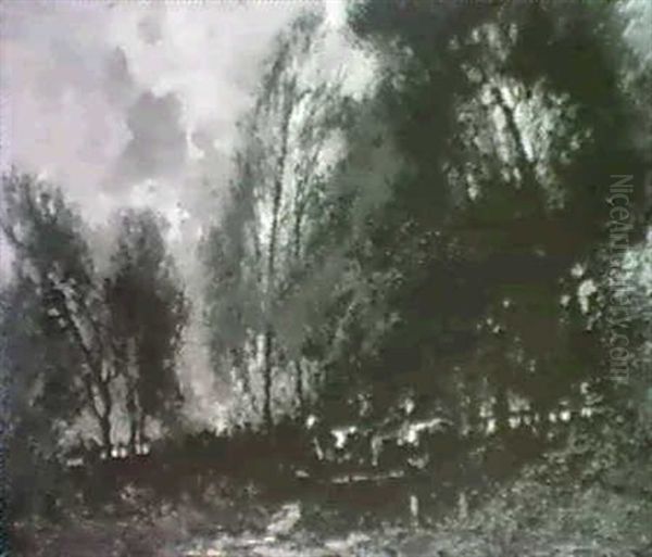 Calves Watering - view 1