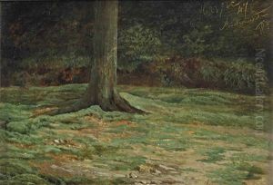 Study Of A Tree by Jean Pierre Francois Lamoriniere