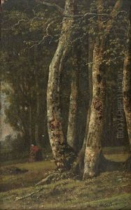 Fagotiere Pres Des Bouleaux