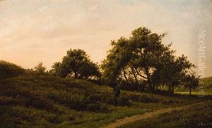Bruyere