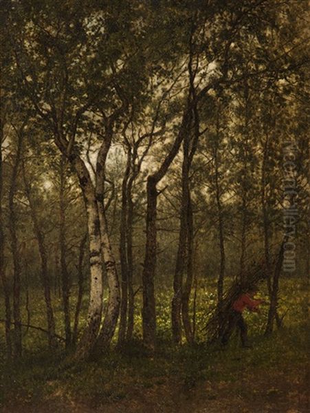 Forest Path Near Putte With Firewood Collector - view 1