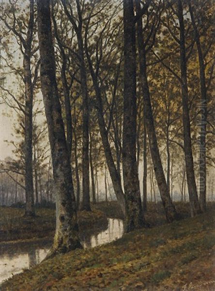 Autumnal River Landscape - view 1