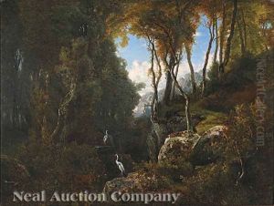 Cranes In A Mountain Landscape