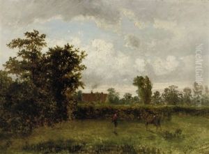 In The Meadow