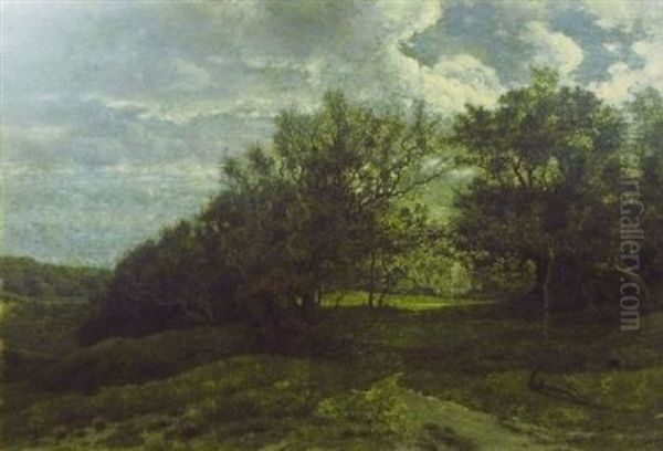 Wooded Landscape At Dusk - view 1