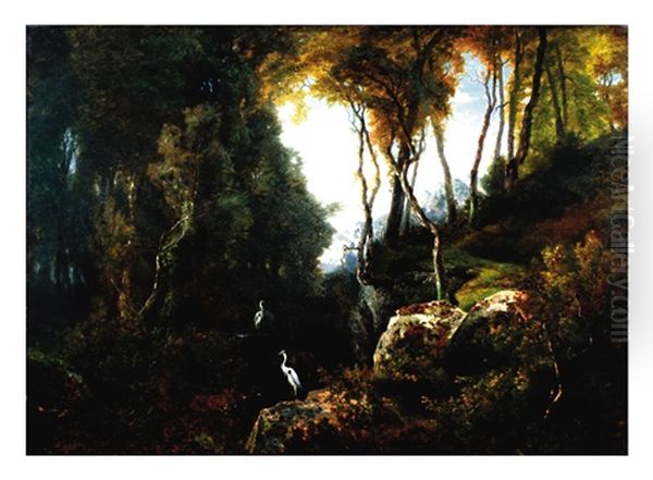 A Pair Of Cranes In An Extensive Wooded Landscape - view 1