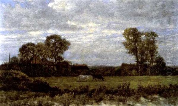 Landschap - view 1