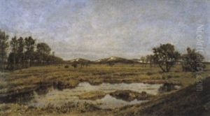 L'etang, Vue Prise A Putte, Hollande