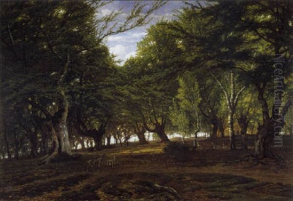 Bosgezicht Met Herten - view 1