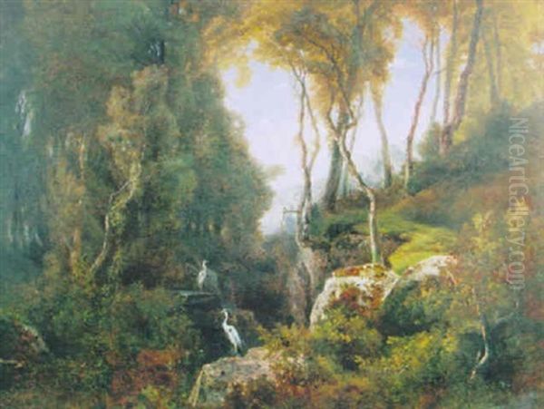 A Pair Of Cranes In An Extensive Wooded Landscape - view 1