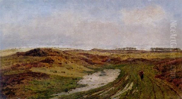 Belgische Dunenlandschaft - view 1
