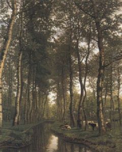 Bois De Trembles Au Bord Du Canal