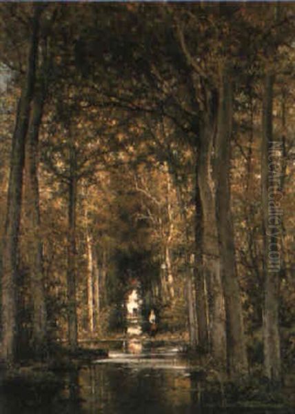 A Woodland Stream - view 1