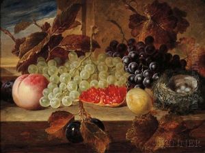 Still Life With Fruit And Bird's Nest