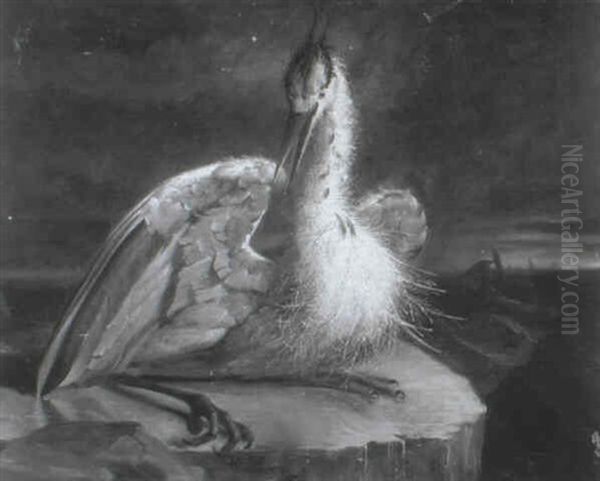 Heron By Night - view 1