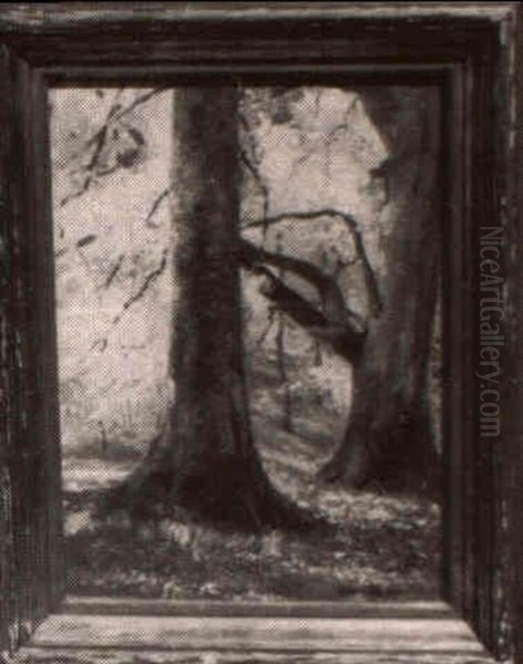 Kentucky Beeches - view 1