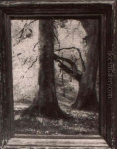 Kentucky Beeches